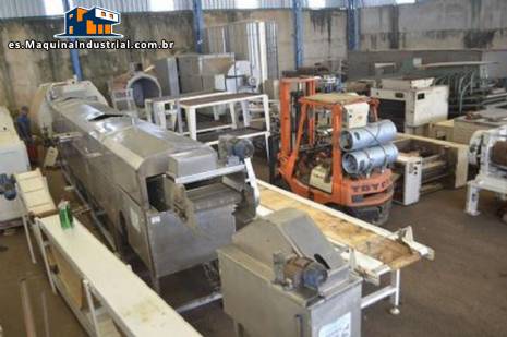 Freidora continua para l�neas de fritura 350 kg MCI