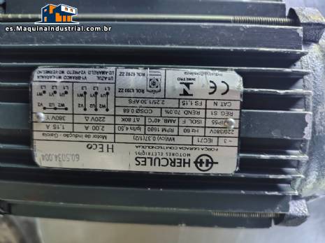 Motor de inducci�n H�rcules con una potencia de 0,37 kW.