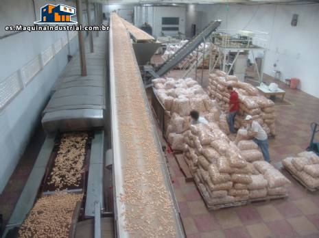 Automatizado de l�nea de producci�n de galletas capacidad 800 kg/h