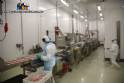L�nea completa para nuggets empanizados, bistec, tiras, hamburguesas 500 kg CFS FMC Chiachiera