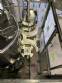 Llenadora rotativa gravim�trica de acero inoxidable con cabina