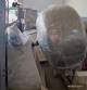 M�quina de recubrimiento de acero inoxidable, 150 kg por hora.