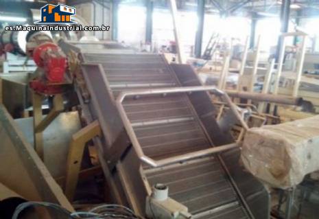 Línea de chips para 250 kg Línea de chips para 250 kg